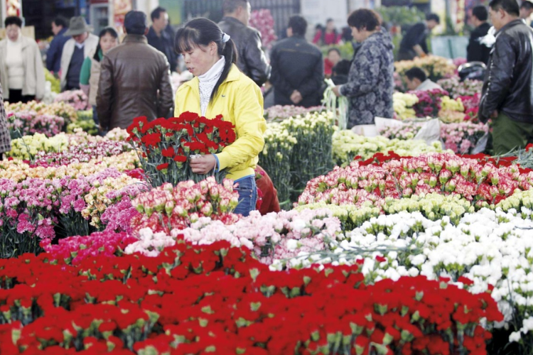 Tour Hà Nội - Hà Khẩu - Thạch Lâm - Côn Minh