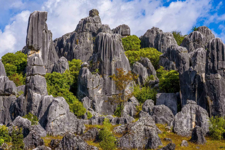 Tour Hà Nội - Hà Khẩu - Thạch Lâm - Côn Minh
