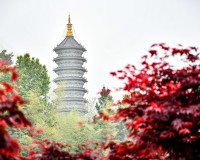 Tour Trung Quốc 6 ngày: Phượng Hoàng Cổ Trấn - Trương Gia Giới 