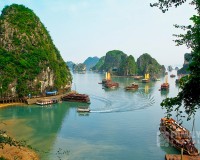Tour Hạ Long - Yên Tử 2 Ngày