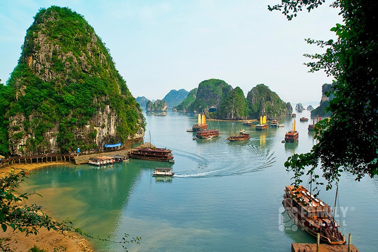 Tour Hạ Long 1 Ngày| Hang Sửng Sốt - Đảo Titop 