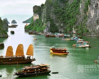Tour Cát Bà - Vịnh Lan Hạ 2 Ngày 
