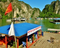 Tour Hạ Long - Yên Tử 2 Ngày