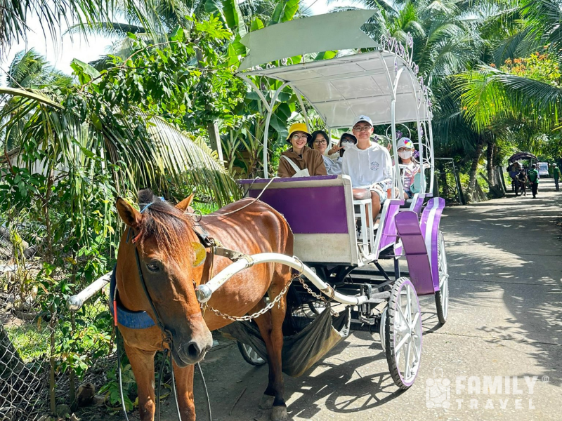 Tour Du Lịch Miền Tây - Sông Nước Miệt Vườn