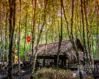 Tour Du Lịch Cần Giờ - Đảo Khỉ 