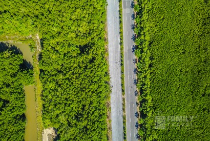 Tour Du Lịch Cần Giờ - Đảo Khỉ 