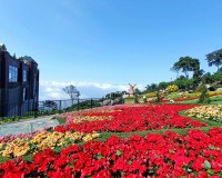 Tour Tây Ninh: Núi Bà Đen - Địa Đạo Củ Chi 1 Ngày