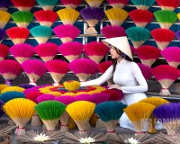 Tour Đà Nẵng - Hội An - Bà Nà - Huế - Động Phong Nha 