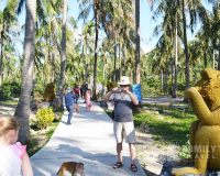 Tour Vịnh Nha Phu: Đảo Khỉ - Đảo Hoa Lan