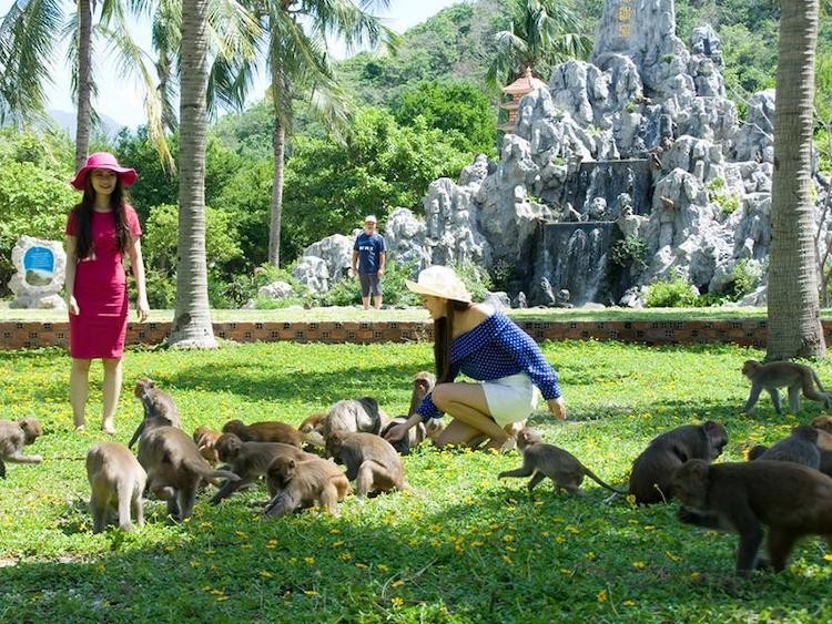 Tour Tham Quan Vịnh Nha Phu 1 Ngày