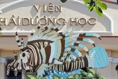 Tour City Nha Trang 1 Ngày