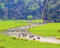 Tour Tuyệt Tịnh Cốc - Tam Cốc - Hang Múa 1 Ngày