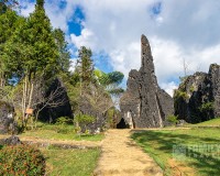 Tour Sapa - Cát Cát - Moana 2 Ngày