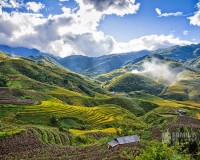 Tour Sapa - Cát Cát - Moana 2 Ngày