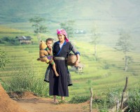 Tour Sapa - Moana - Cát Cát - Fansipan 3 Ngày