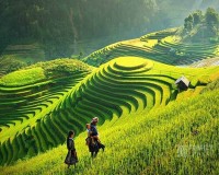 Tour Sapa - Cát Cát - Fansipan 2 Ngày
