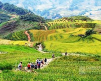 Tour Sapa - Moana - Cát Cát - Fansipan 3 Ngày