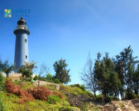 Tour Phú Yên: Tuy Hòa - Bãi Môn - Vịnh Vũng Rô - Hải Đăng - Mũi Điện  nửa ngày