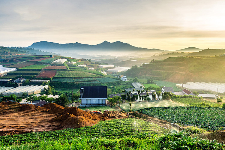 Tour Đà Lạt - Khám Phá Thành Phố Sương Mờ