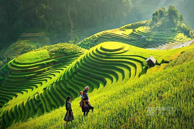 Tour Tây Bắc 4 Ngày 3 Đêm – Sapa – Lai Châu – Điện Biên – Mộc Châu – Mai Châu