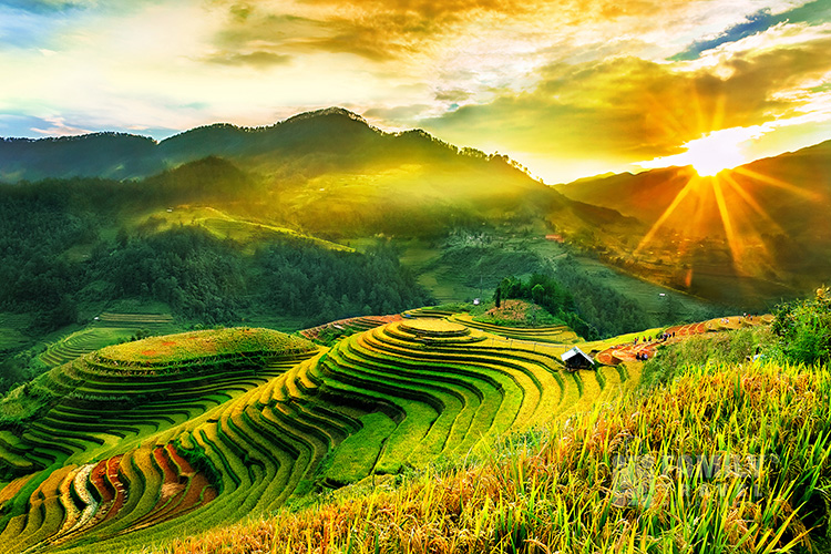 Tour Tây Bắc 5 Ngày 4 Đêm – Mù Cang Chải – Sapa – Lai Châu – Điện Biên – Mộc Châu – Mai Châu