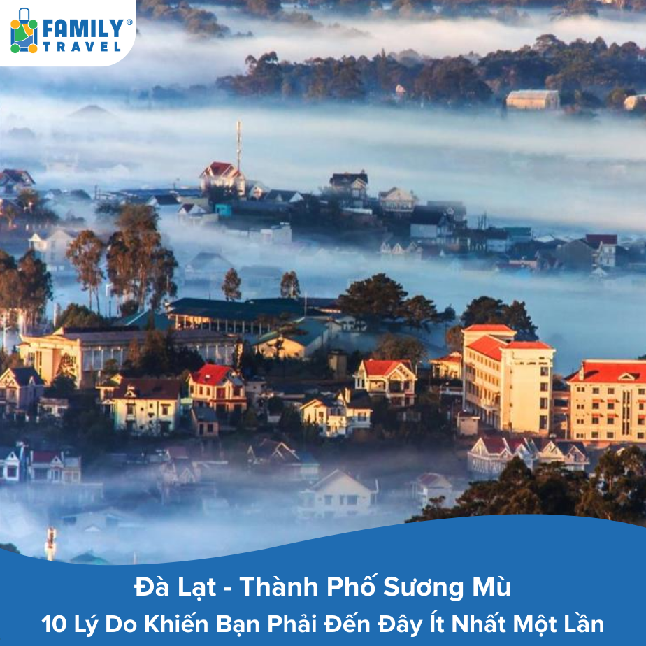 Đà Lạt - Thành Phố Sương Mù: 10 Lý Do Khiến Bạn Phải Đến Đây Ít Nhất Một Lần