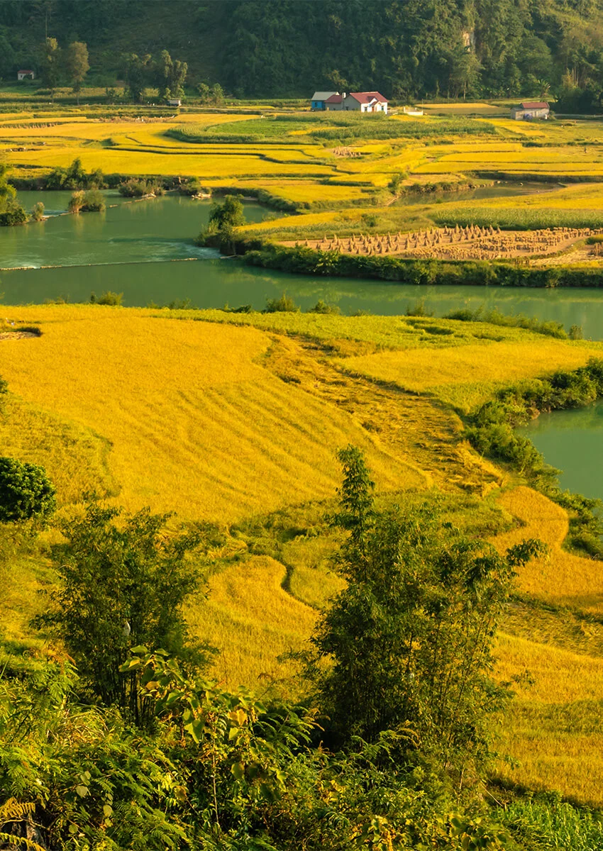 /tour-cao-bang?category_id=102