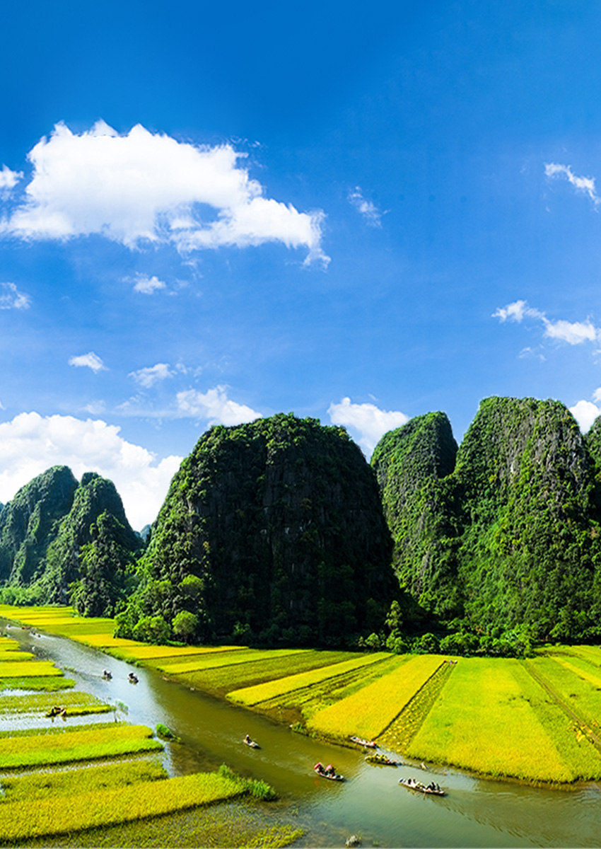 https://familytravel.com.vn/tour-ninh-binh1