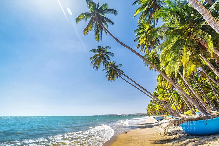Tour Phan Thiết: Thiên đường biển xanh và cát trắng